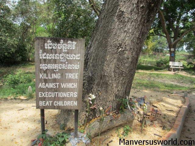 The killing tree at Choeung Ek, Cambodia