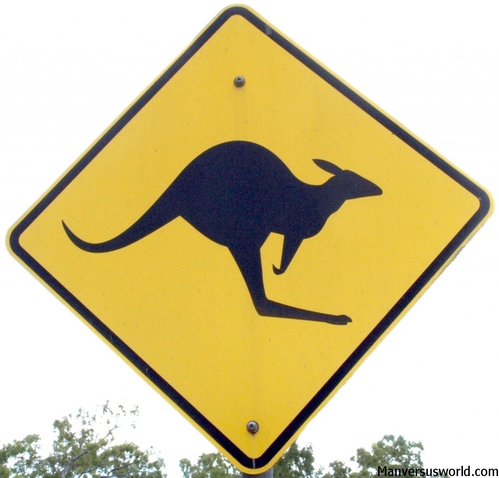A Kangaroo warning sign in Australia
