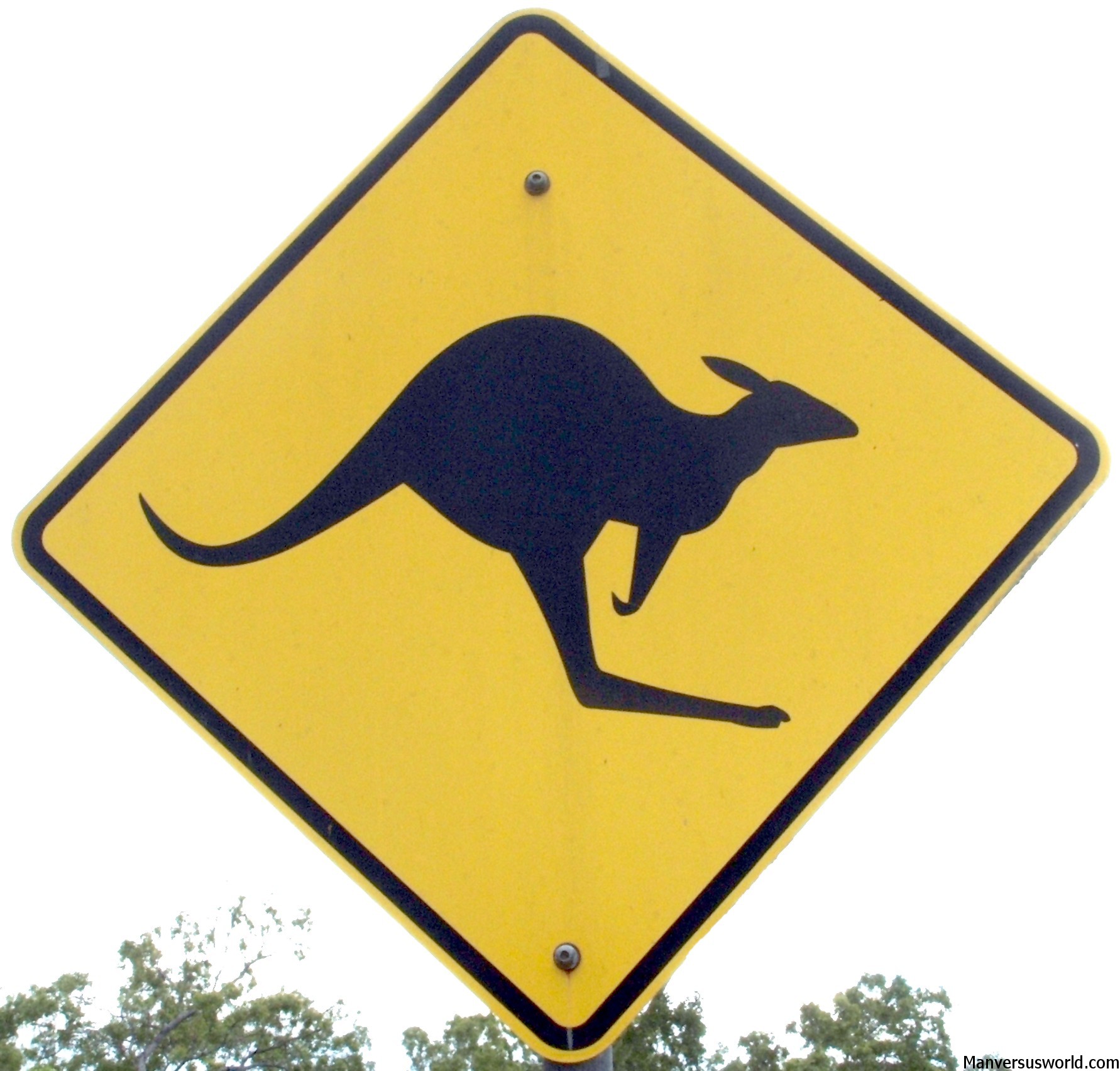 A Kangaroo warning sign in Australia