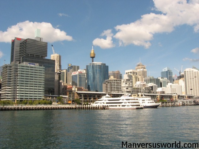 Sydney city and the harbour