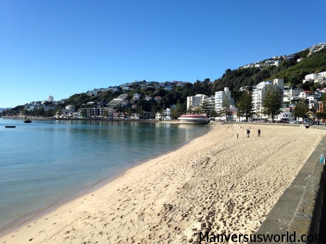 Things to see and do in Wellington