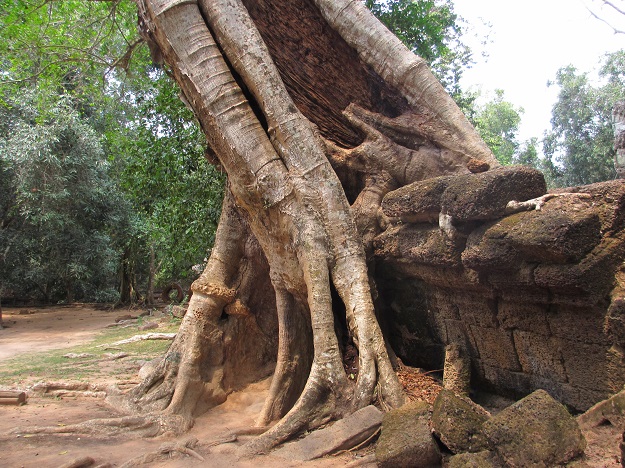 Angkor_Wat_photos18