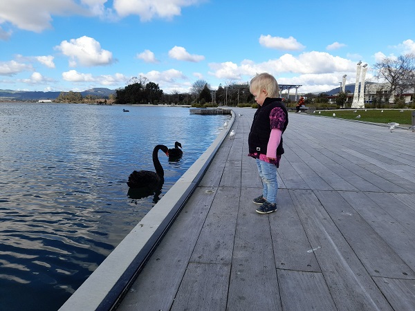 Rotorua with kids: top 3 family fun activities