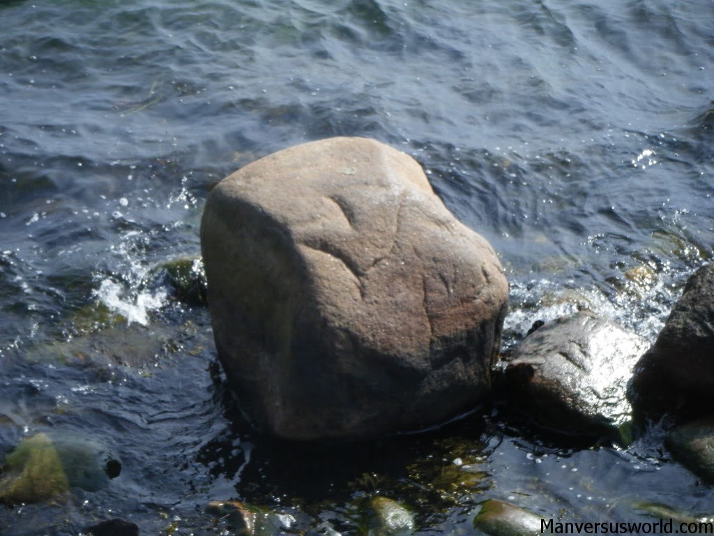 The rock the little mermaid normally sits on.