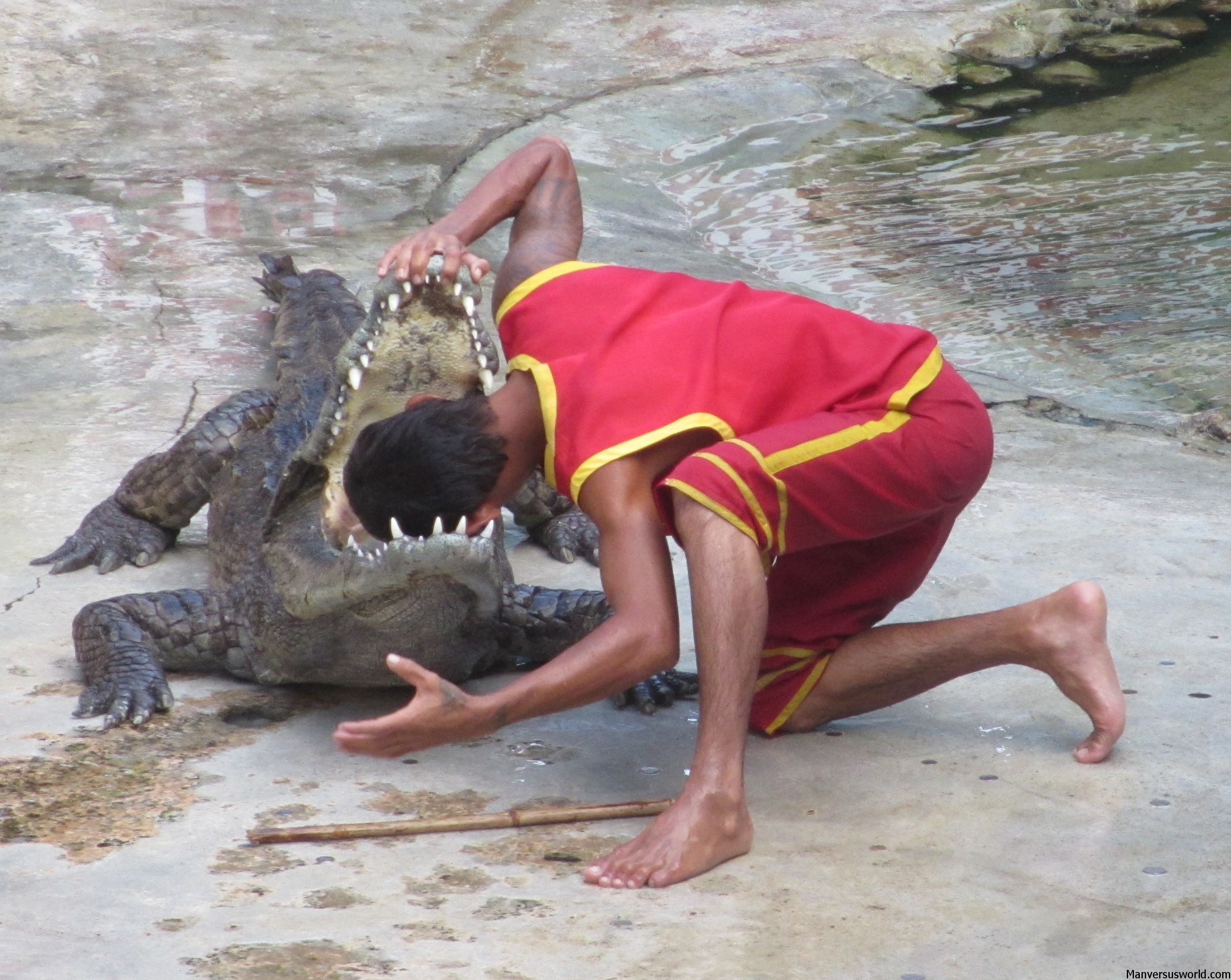A man puts his head inside a croc's gaping mouth.
