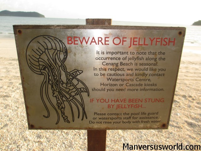 Aaahh! Jellyfish in Langkawi