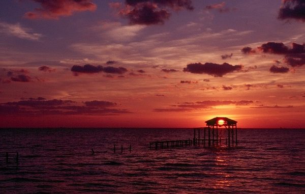 Looking To The Sea From Dana Point