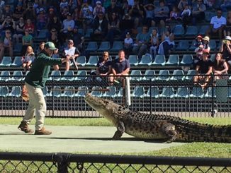 5 surprising things about Australia Zoo