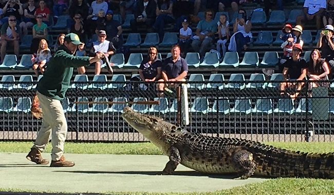 5 surprising things about Australia Zoo